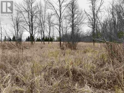 LOT 2 & 3 CON NELSON DR, St. Joseph Island, Ontario P0R 1G0, Canadá
