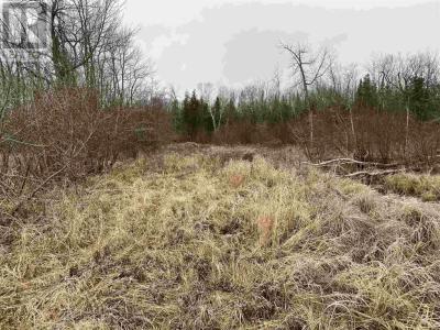 LOT 2 & 3 CON NELSON DR, St. Joseph Island, Ontario P0R 1G0, Canadá