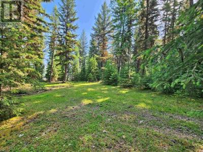 2096 BLACKLOCK ROAD, Quesnel, British Columbia V2J 7C3, Canada