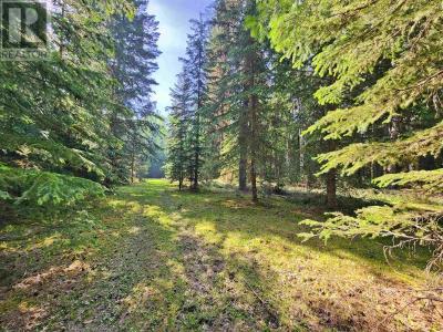 2096 BLACKLOCK ROAD, Quesnel, British Columbia V2J 7C3, Canada
