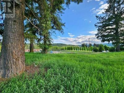 4 JONES STREET, Quesnel, Colúmbia Britânica V2J 2W6, CANADÁ