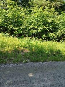 1055 WEST PORKYS ROAD, Minden Hills, أونتاريو K0M 2K0, كندا 