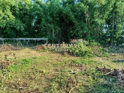 新岡段, Gongguan Township, Miaoli County 363, Taiwan