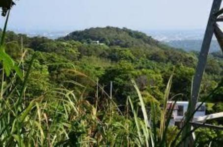 新英, مياولي سيتي, مقاطعة مياولي 360, تايوان