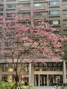 大興西路二段, 桃園區, טאו - יואן העיר 330, טיוואן