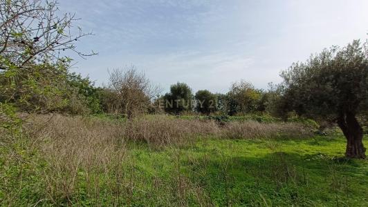 Loulé, Faro 8100, Portugal
