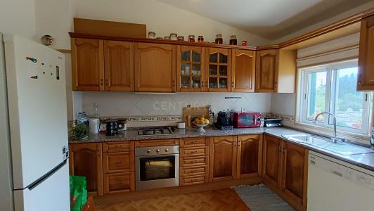 Loulé, Faro 8100, Portugal