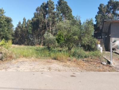 Aveiro, Aveiro 3810-754, Portugal