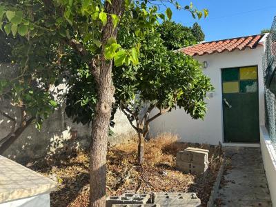 Torres Novas, Santarém 2350, Portugal