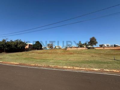 Ciudad Del Este , Ciudad Del Este, Alto Paraná 00001, Paraguai