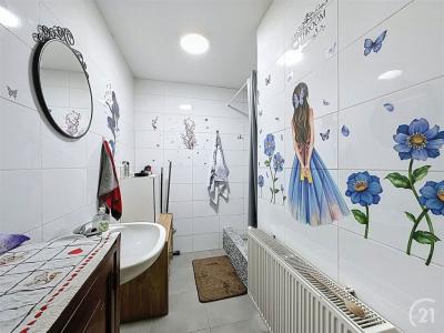 Rue de Colard Trouillet 41, Seraing, 4100, 比利时