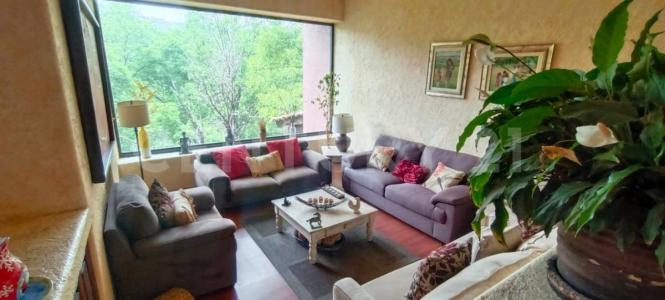 Cerrada de la Pareja ,, Atizapán De Zaragoza, Bang México 52936, Mexico