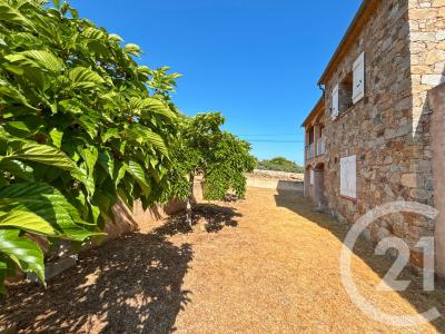 Monticello, Corse 20220, 法国