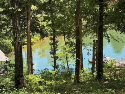 Lot 5&5a McClure Drive, Hayesville, 北卡羅來納州 28904, 美國