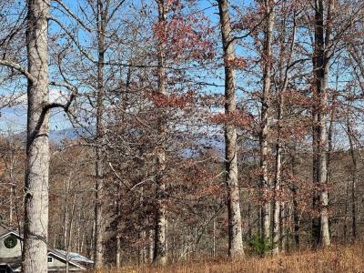 Lot 5&5a McClure Drive, Hayesville, 北卡羅來納州 28904, 美國