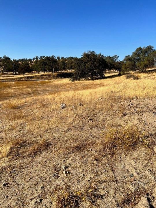 Sunflower Lane 1.25AC, O Neals, Califórnia 93645, Estados Unidos