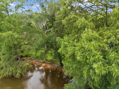 000 Moon Lake Road, Jefferson, Texas 75657-0000