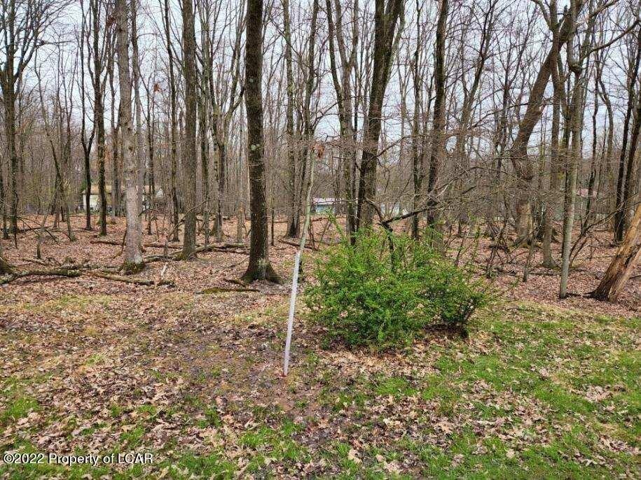 Lot 018 Spring Water Drive, White Haven, Pennsylvania 18661, Estados Unidos