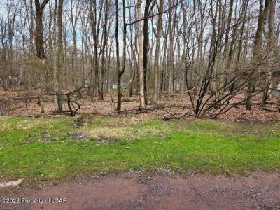 Lot 018 Spring Water Drive, White Haven, Pennsylvania 18661, Estados Unidos