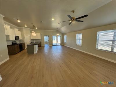 4725 Allison Drive, Belton, 德克薩斯州 76513, 美國