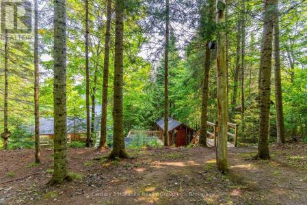 1225 ROWBOTHAM LANE, Highlands East (monmouth), Ontario K0L 2Y0, Canada