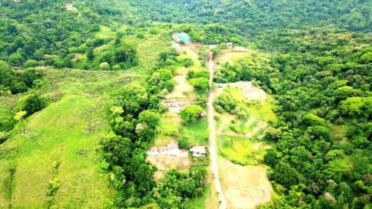 Camaronal Tárcoles Garabito, Puntarenas 61102, Costa Rica