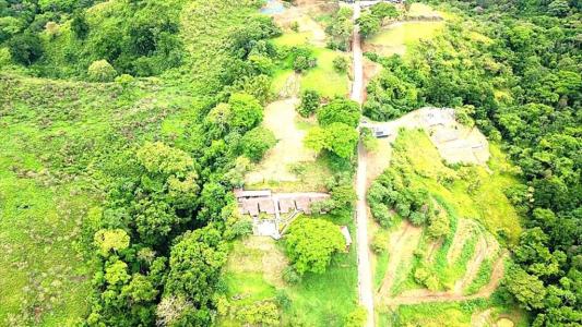 Camaronal Tárcoles Garabito, Puntarenas 61102, Costa Rica
