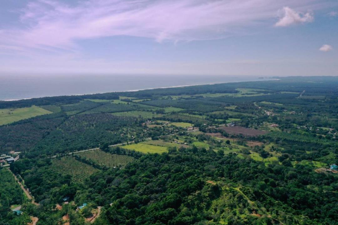 Matapalo Osa, Puntarenas 00001, Costa Rica