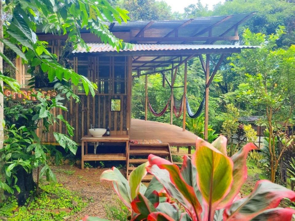 Platanillo Barú Pérez Zeledón, San José 00001, 哥斯達尼加