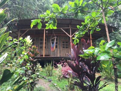 Platanillo Barú Pérez Zeledón, San José 00001, 哥斯達尼加