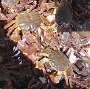 白雞段紫微小段, Sanxia Dist., Nouveau Taipei 237, Taïwan