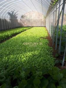 白雞段紫微小段, Sanxia Dist., Nouveau Taipei 237, Taïwan