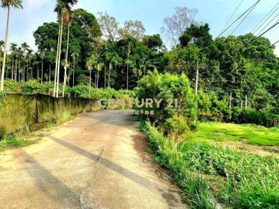 石圍墻段石圍墻小段, Dongshi Dist., 台中市 423, 台灣