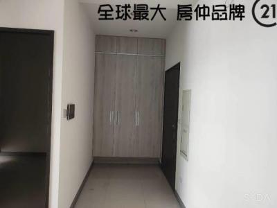 光明街, Tucheng Dist., 新北市 236, 台湾
