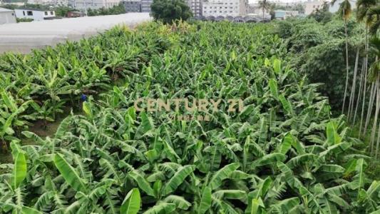 新富寮段, Caotun Township, Nantou County 542, Taïwan