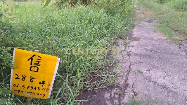 安定, Anding Dist., مدينة تاينان 745, تايوان