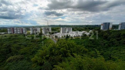 Armenia, Quindio 064, Colombia