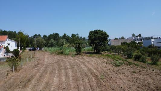 Leiria, Leiria 2400, Portugal