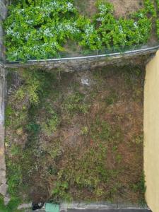 聖克魯斯-德特內里費, Canarias 38310, 西班牙