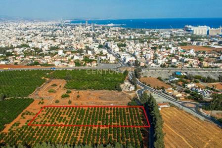 Kato Polemidia, Chipre