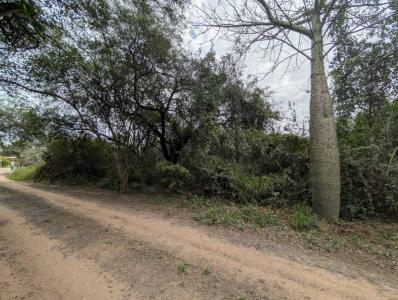 Loma Plata, Boquerón 00001, Paraguay