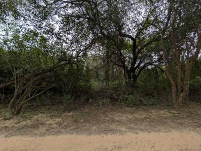 Loma Plata, Boquerón 00001, Paraguay