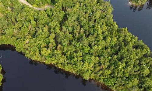 Ch. des Parulines, Nominingue, Québec J0W 1R0, Canada