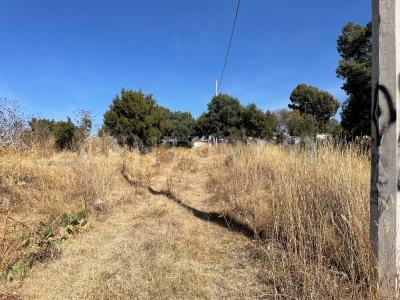 SC SN,, Tzompantepec, Tlaxcala 90491, Meksika