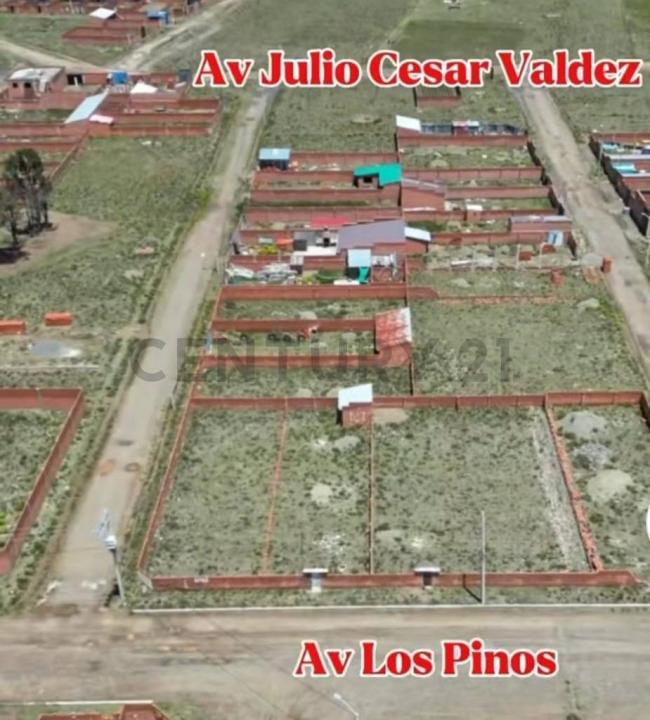 av. laja y los pinos chijini chico s/n, El Alto, La Paz 00001, Bolivie