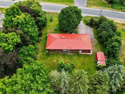 35 DOMINION STREET, Trent Hills, Ontario K0K 3K0, CANADÁ