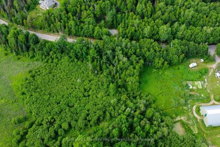 PTLT 13 SOUTH SHORE ROAD, East Ferris, Ontario P0H 1B0, Canada