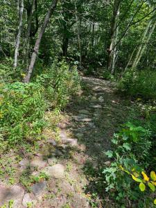 PTLT 13 SOUTH SHORE ROAD, East Ferris, Ontario P0H 1B0, Canada