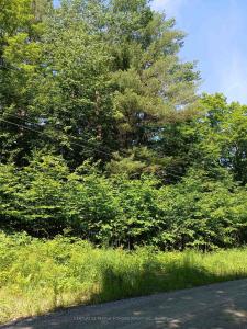 1055 PORKYS ROAD, Minden Hills, أونتاريو K0M 2K0, كندا