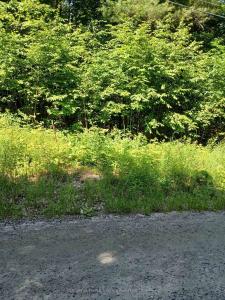 1055 PORKYS ROAD, Minden Hills, أونتاريو K0M 2K0, كندا